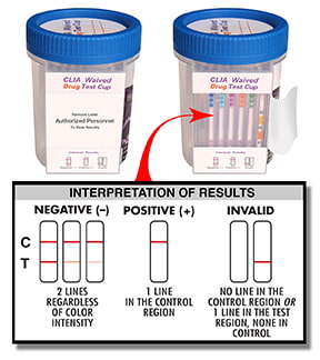 Drug Test Cup